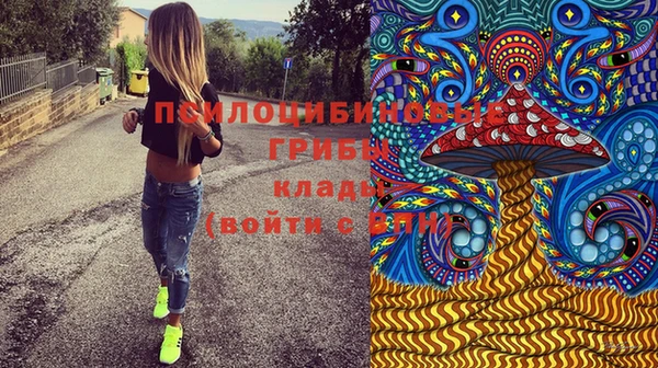 мескалин Ельня