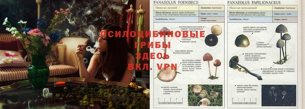 бошки Елизово