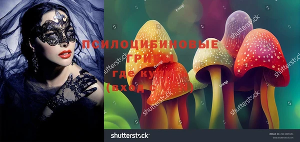 бошки Елизово