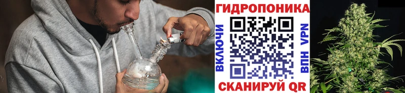 Купить где  Шахунья  Канабис семена 